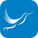 Fengniao , 蜂鸟应用永久免费翻墙app